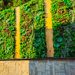Jardim Preservado