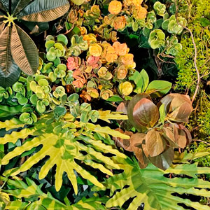 Jardim Preservado