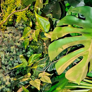 Jardim Preservado