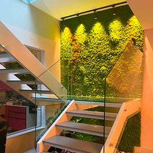 Jardim Preservado